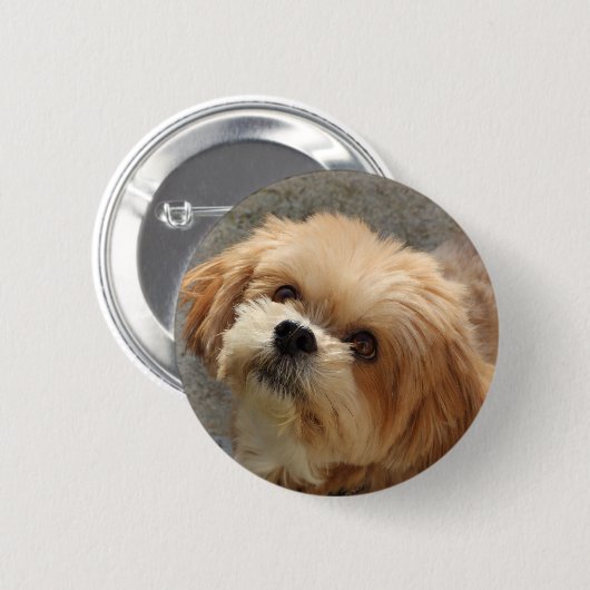 Lhasa Apso in een tuin Ronde Button 5,7 Cm (Voorkant /achterkant)