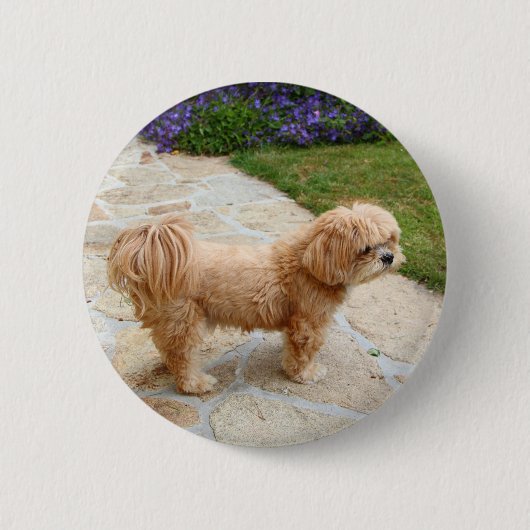 Lhasa Apso in een tuin Ronde Button 5,7 Cm (Voorkant)