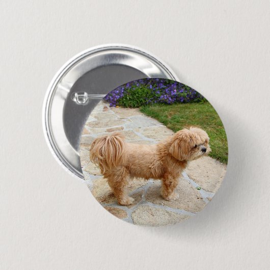 Lhasa Apso in een tuin Ronde Button 5,7 Cm (Voorkant /achterkant)