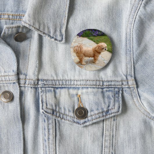 Lhasa Apso in een tuin Ronde Button 5,7 Cm (In situ)