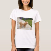 Lhasa Apso in een tuin T-shirt (Voorkant)