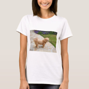 Lhasa Apso in een tuin T-shirt