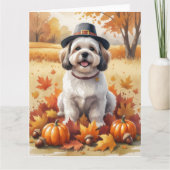 Lhasa Apso In Herfstbladeren Thanksgiving Kunst Kaart (Voorkant)