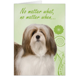 Lhasa Apso Love & Support Kaart