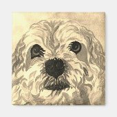 Lhasa Apso Magneet (Voorkant)