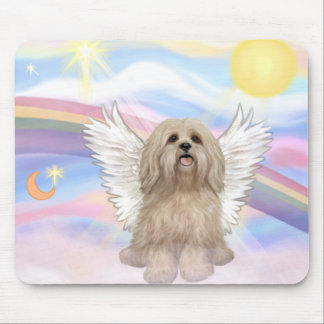 Lhasa Apso Muismat