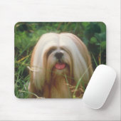 Lhasa Apso Muismat (Met muis)