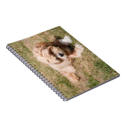 Lhasa Apso Notitieboek (Rechterzijde)