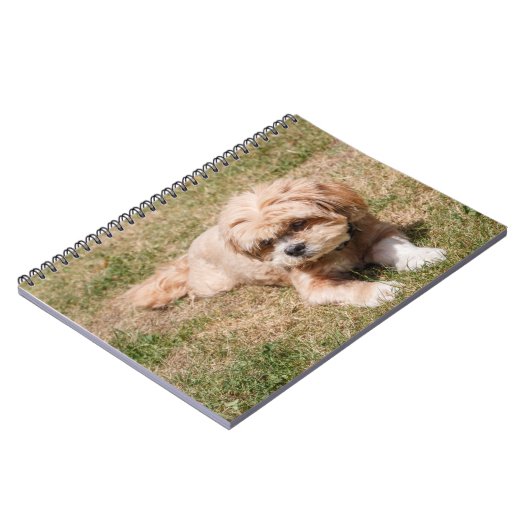 Lhasa Apso Notitieboek (Linkerzijde)