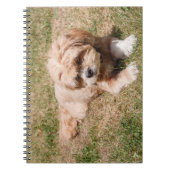 Lhasa Apso Notitieboek (Voorkant)