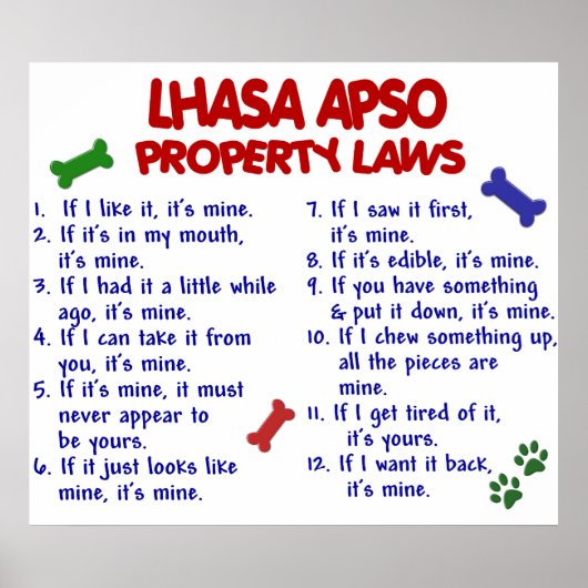 LHASA APSO PL2 POSTER (Voorkant)