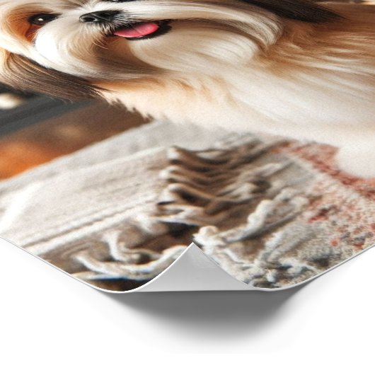 Lhasa Apso Poster (Hoek)