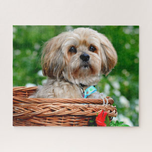 Lhasa Apso Puppy Dog in een mandje Legpuzzel