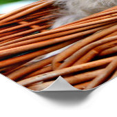 Lhasa Apso Puppy Dog in een mandje Poster (Hoek)