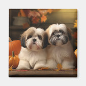 Lhasa Apso Puppy Herfst Verrukking Pompoen Magneet (Voorkant)