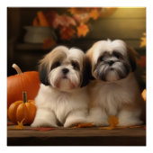 Lhasa Apso Puppy Herfst Verrukking Pompoen Perfect Poster (Voorkant)
