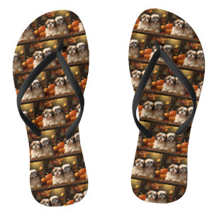 Lhasa Apso Puppy Herfst Verrukking Pompoen Teenslippers