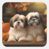 Lhasa Apso Puppy Herfst Verrukking Pompoen Vierkante Sticker (Voorkant)