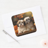 Lhasa Apso Puppy Herfst Verrukking Pompoen Vierkante Sticker (Envelop)
