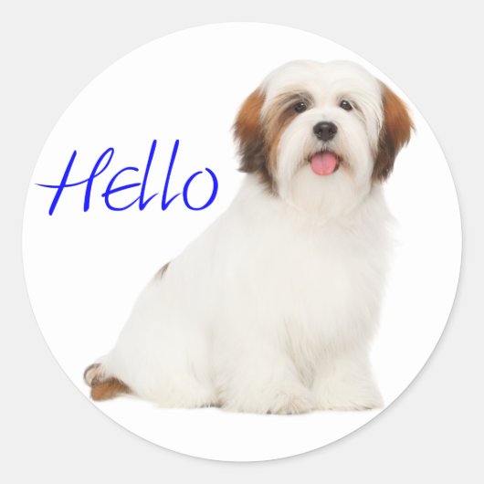 Lhasa Apso Puppy Hond Sticker / Label (Voorkant)
