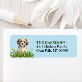 Lhasa Apso Puppy Narcissen Tuin Etiket