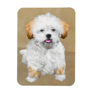 Lhasa Apso Puppy Painting - Cute Original Dog Art Magneet