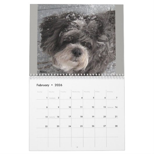 Lhasa Apso Rescue 2018 Calendar Kalender (Feb 2026)
