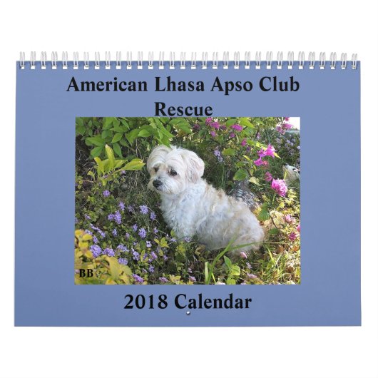 Lhasa Apso Rescue 2018 Calendar Kalender (Hoes)