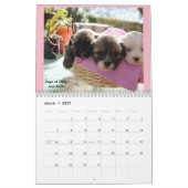 Lhasa Apso Rescue 2018 Calendar Kalender (Mar 2027)