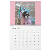Lhasa Apso Rescue 2018 Calendar Kalender (Jan 2027)