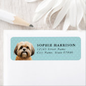 Lhasa Apso Retouradreslabels Etiket (Insitu)