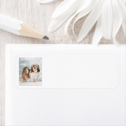 Lhasa Apso Return-adreslabel Etiket (Insitu)