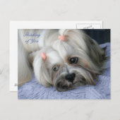 Lhasa Apso Rugged Little "Bark Lion Dog" Post Card Briefkaart (Voorkant / Achterkant)