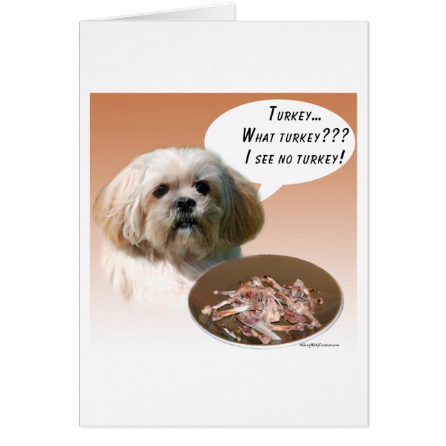 Lhasa Apso Turkije (Voorkant)