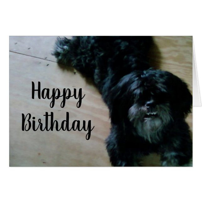 LHASA APSO WIL EEN HAPPY BIRTHDAY (Voorkant Horizontaal)
