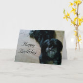 LHASA APSO WIST VOOR EEN HAPPY BIRTHDAY KAART (Gele Bloem)