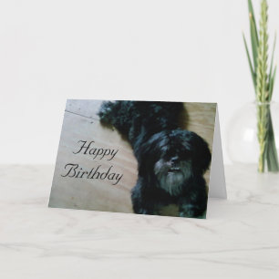 LHASA APSO WIST VOOR EEN HAPPY BIRTHDAY KAART