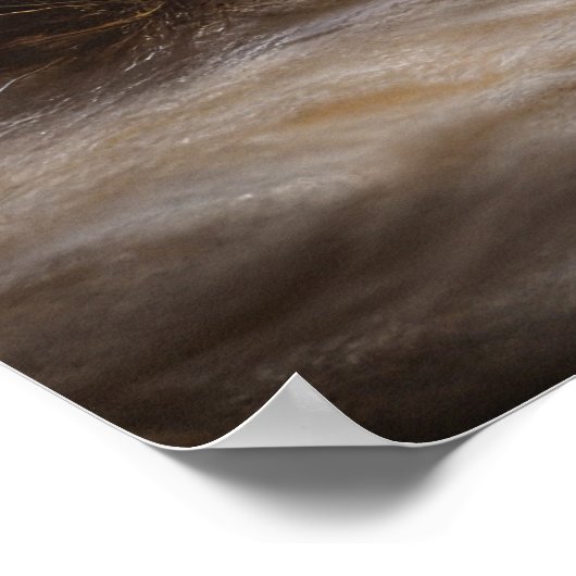 Lhasa ook besneeuwde slee kerstdecor poster (Hoek)