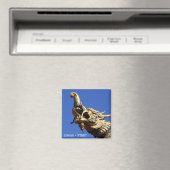 Lhasa, Tibet, Jokhang Temple (Fridge Magnet) Magneet (Insitu (Vaatwasser))