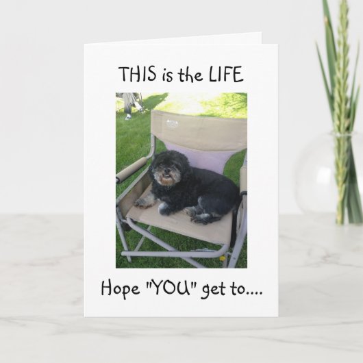 LHASA WIL DAT JE JE "40ste" KRIJGT. Kaart (Voorkant)