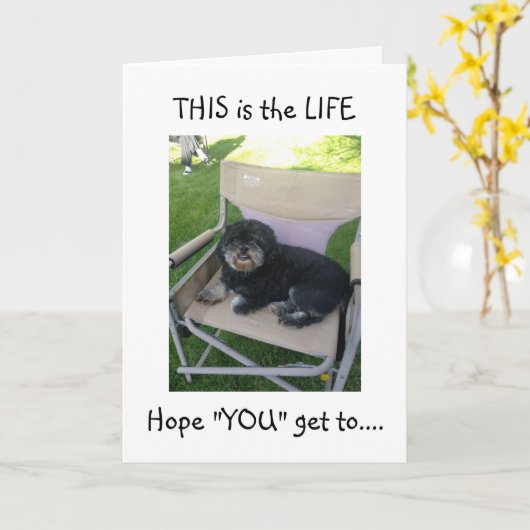 LHASA WIL DAT JE JE "40ste" KRIJGT. Kaart (Gele Bloem)