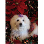LhasaPoo Staand Fotobeeldje<br><div class="desc">Kute hond gekleed voor de Feestdagen</div>