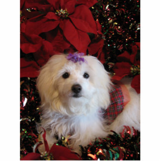 LhasaPoo Staand Fotobeeldje