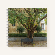 Li Garden Serie: Echo's onder de Boom