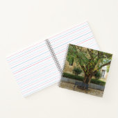 Li Garden Series: Echoes Beneath the Tree Notitieboek (Binnen)