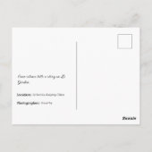 Li garden Series - Hidden Elegance Card Briefkaart (Achterkant)