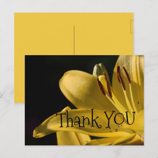 *'Li-Yellow'-ontwerp, Briefkaart (Voorkant / Achterkant)