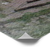 Lian Chi Poster (Hoek)