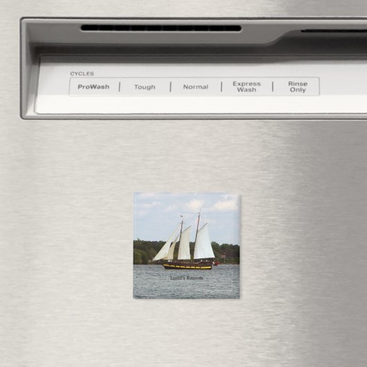 Liana's Ransom magnet (Insitu (Vaatwasser))