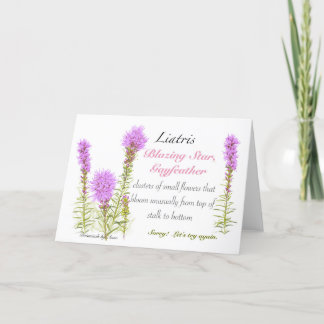 Liatris Blank Card Bedankkaart